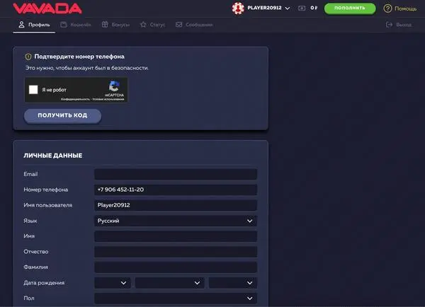 Вавада заполнение профиля
